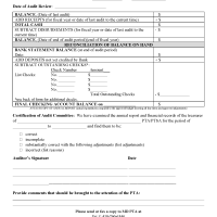 Financial Review/Audit Form